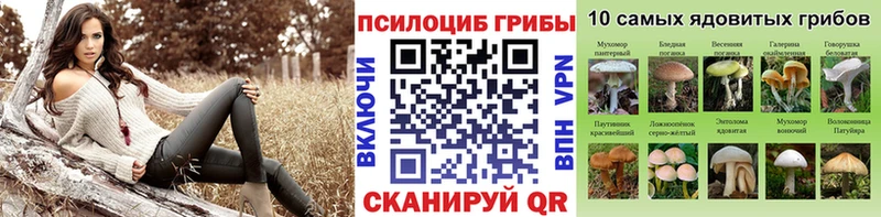 цена   Калтан  Галлюциногенные грибы GOLDEN TEACHER 